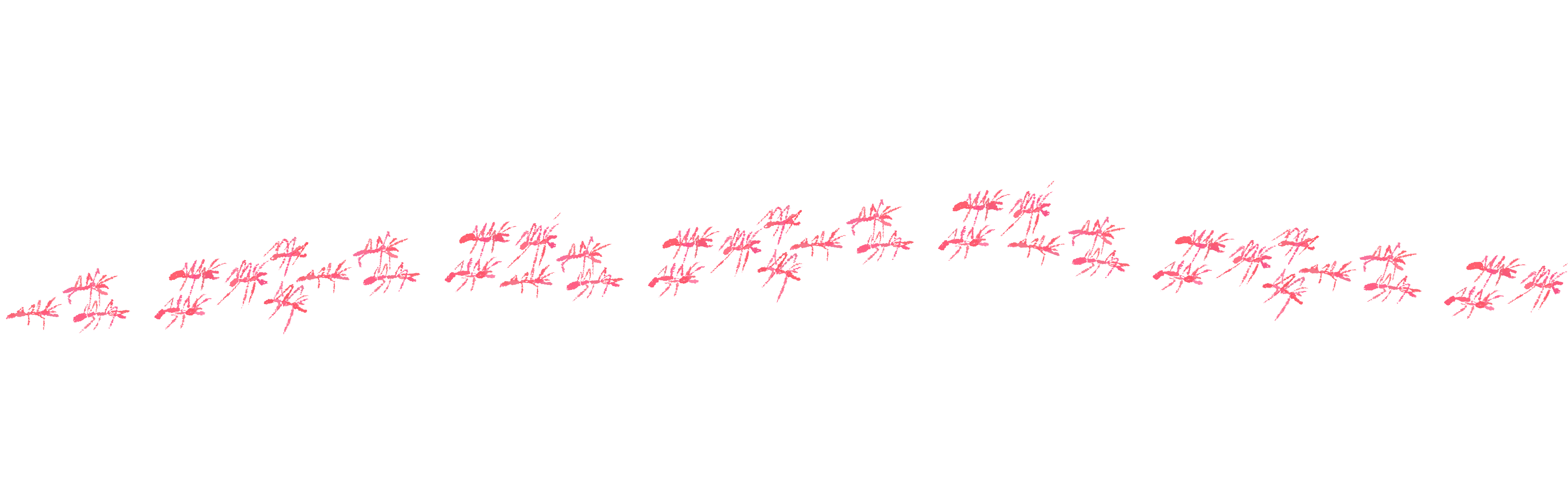 hormigas