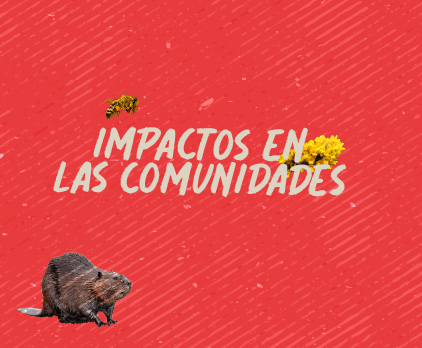 Bloque 3: Impactos en las comunidades