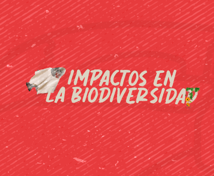 Bloque2: Impactos en la biodiversidad