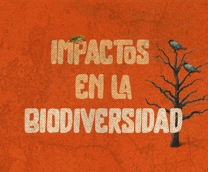 Bloque 2: Impactos en la biodiversidad