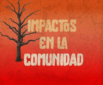 Bloque 3: Impactos en la sociedad