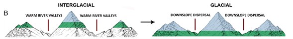 Figura Formación de los Andes