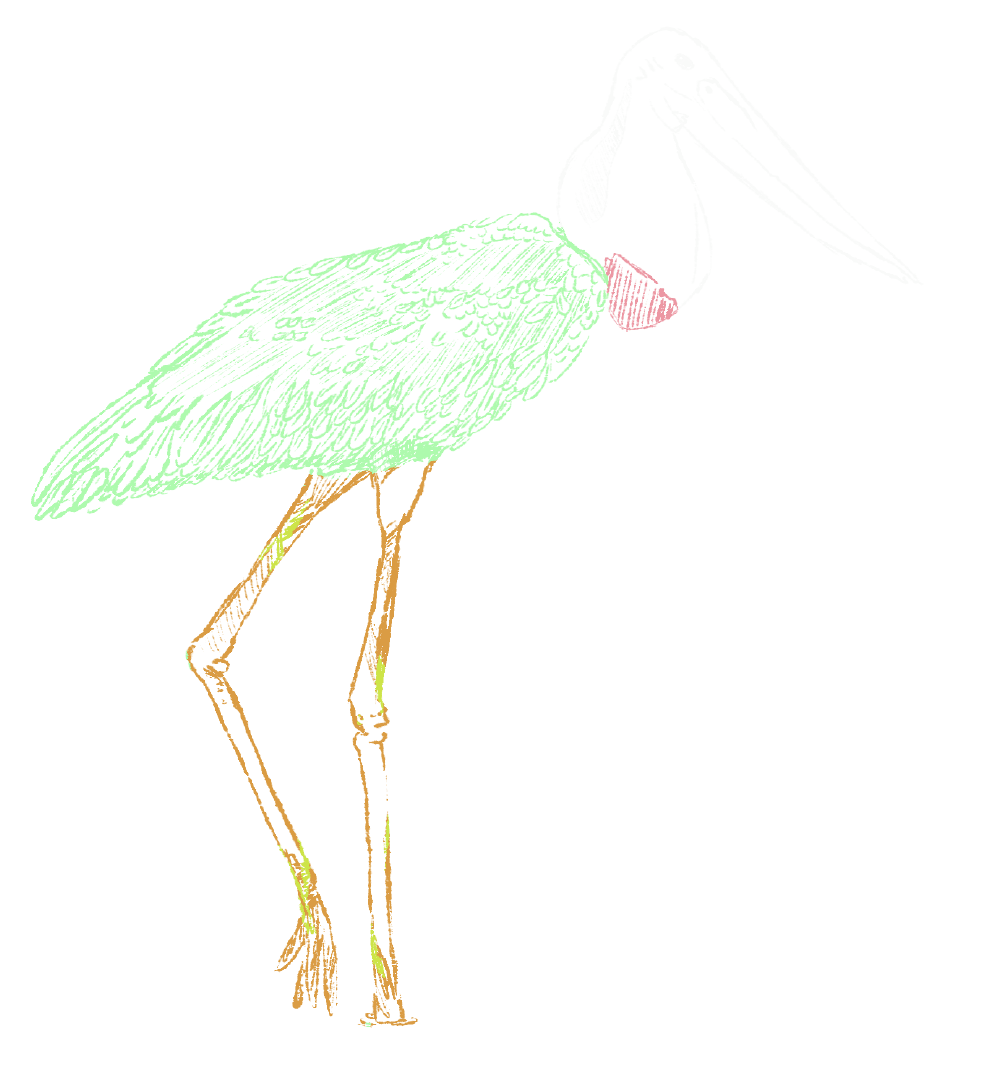 Figura Formación de los Andes