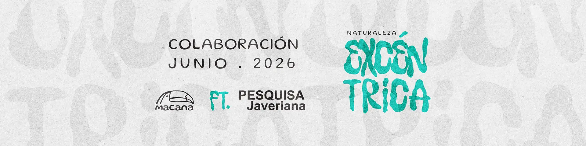 Colaboración Macana - Pesquisa Javeriana