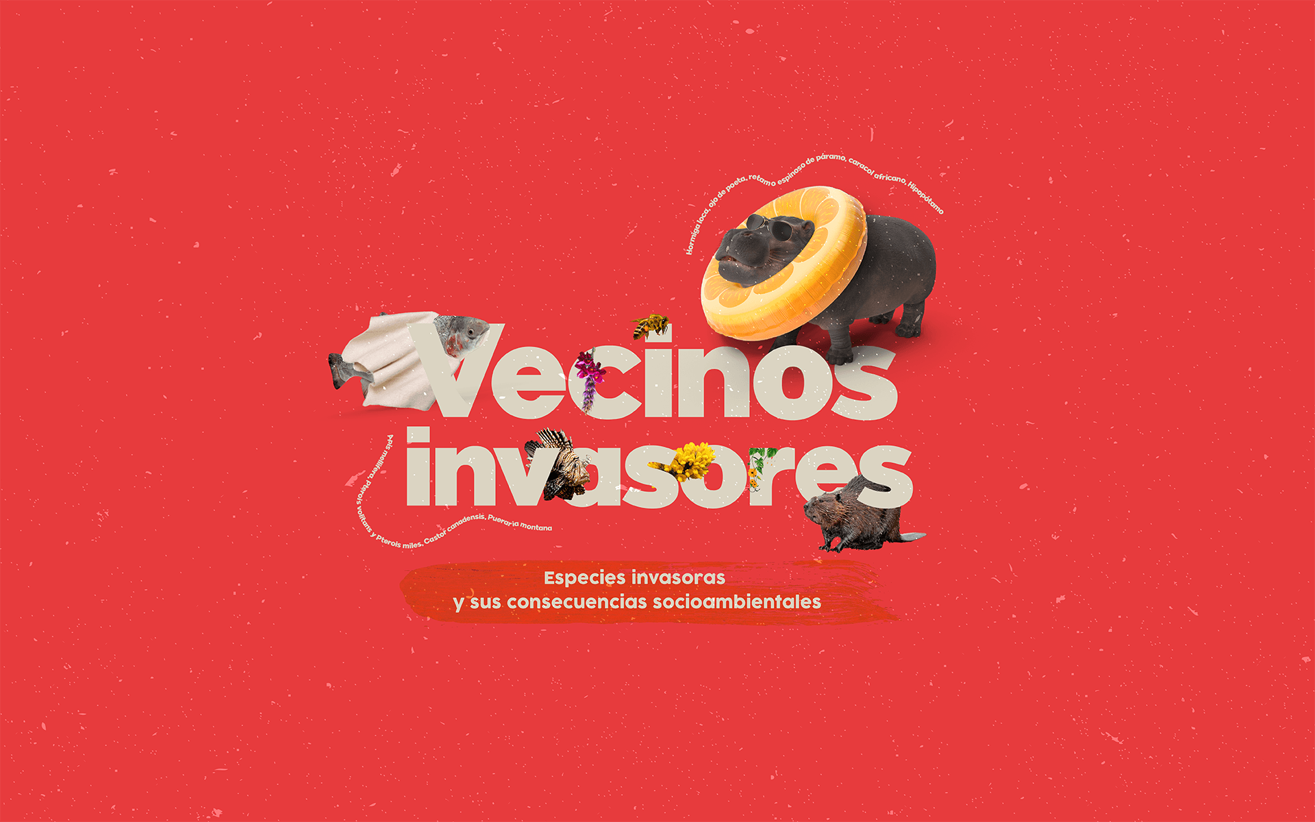 Ed 1. Vecinos Invasores